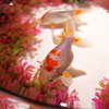 二条城 アートアクアリウム