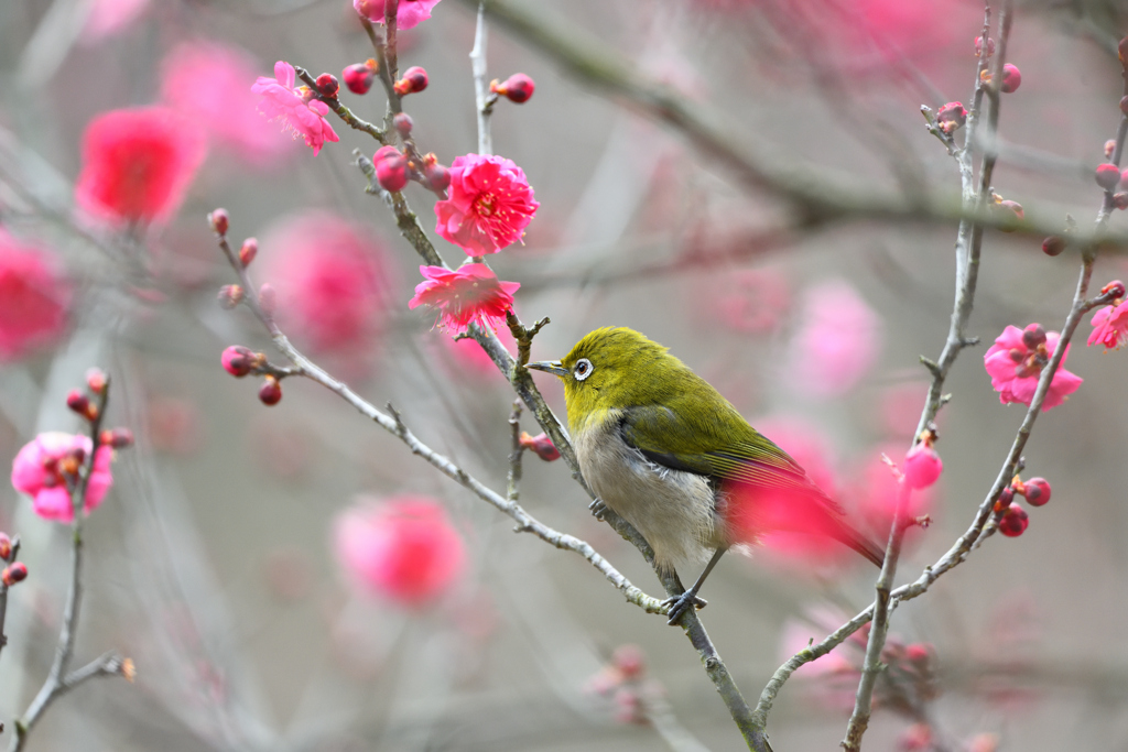 今年も！