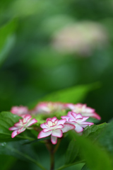 3月3日