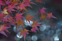 光の流れ