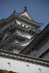 鯱