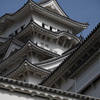 鯱