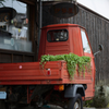PIAGGIO