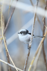 あけましておめでとうございます2026