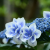 gradation