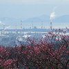 梅の香り越しの風景