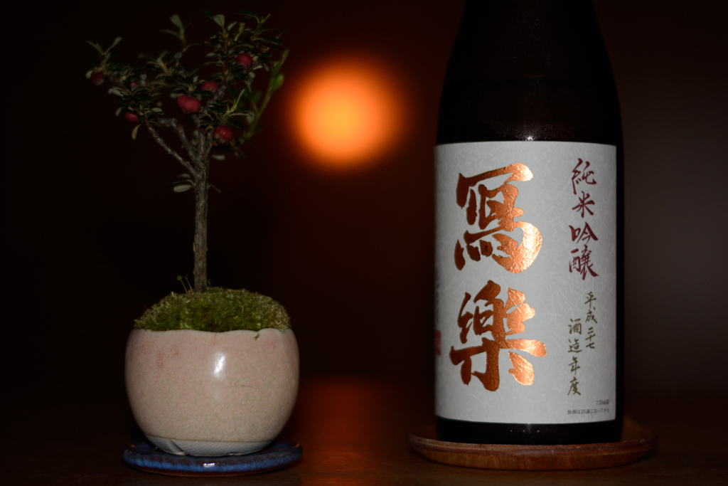 月を肴に