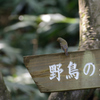ご案内