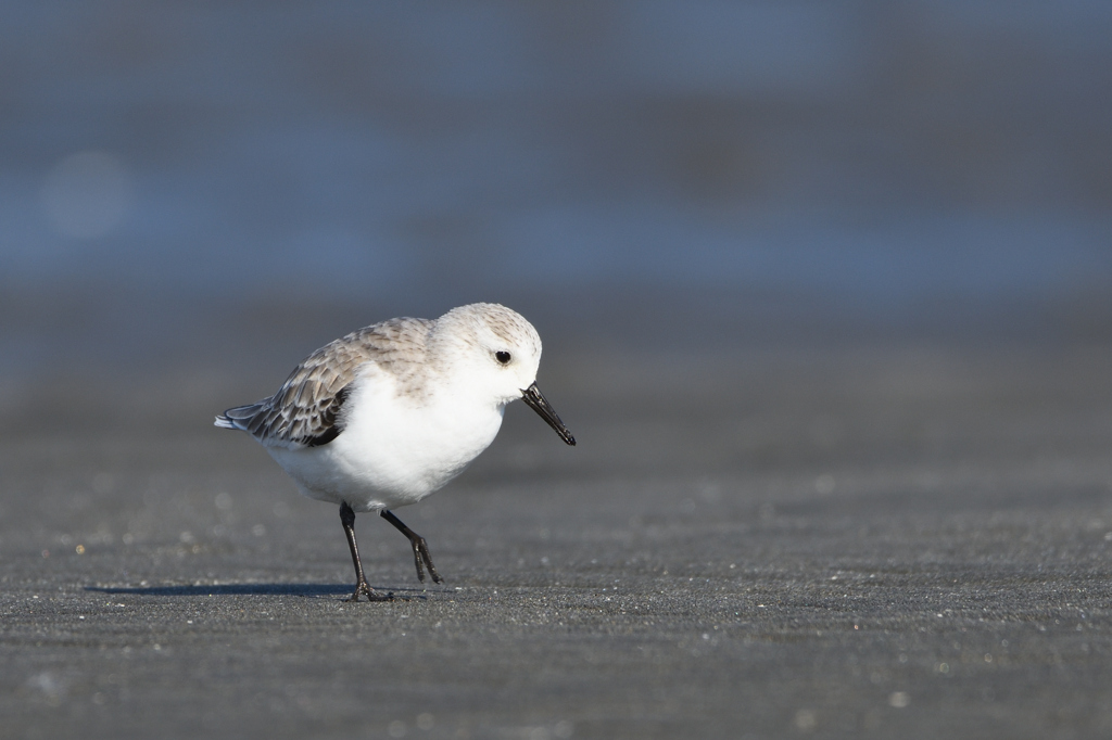 みゆびでしょ(^^)