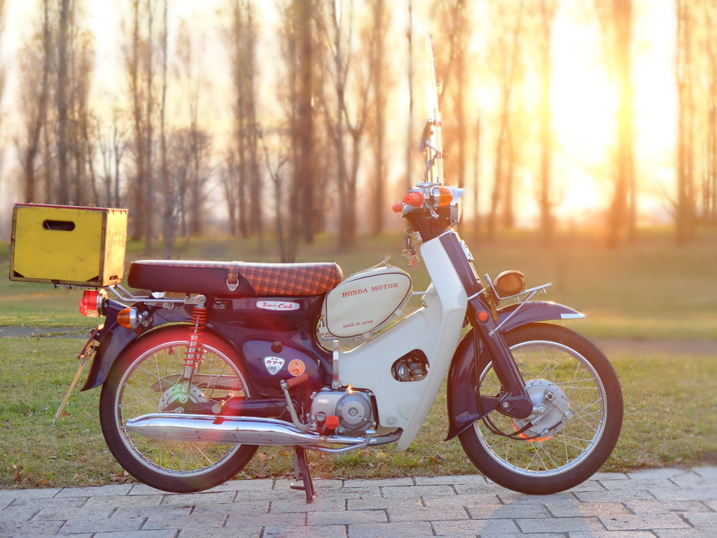 スーパーカブ
