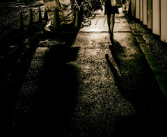 rain 19