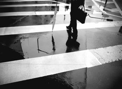 横断歩道　１