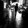 monochrome city 29