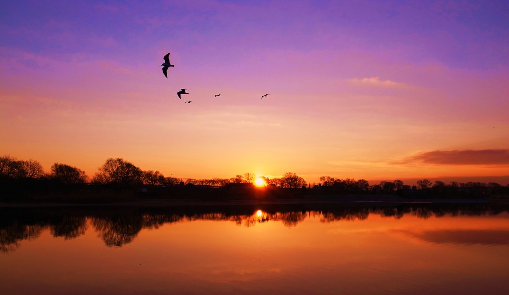 today’ｓ　sunrise
