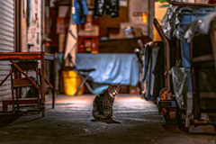 路地裏　８９