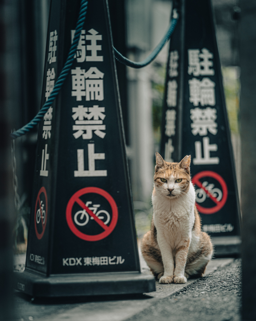 路地裏　１２８