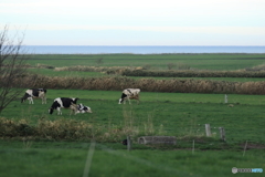 7D2_2008