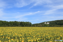 CC0A5917