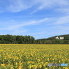 CC0A5917