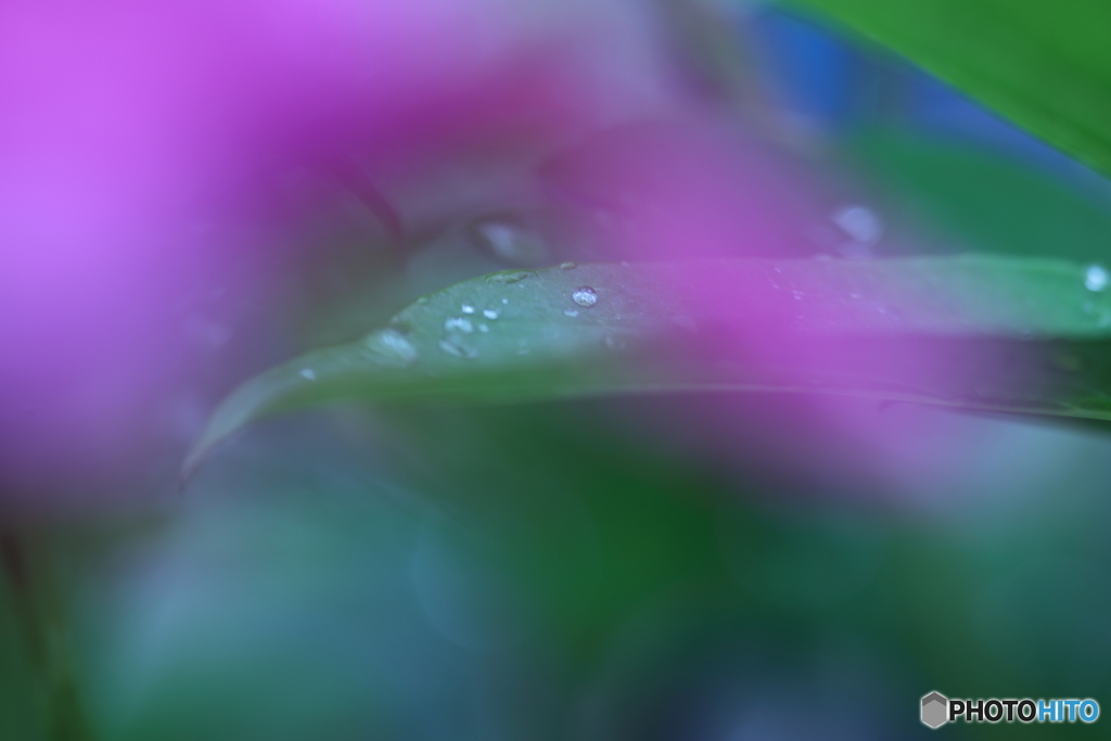 5D4_0596