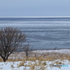 IMG_9069