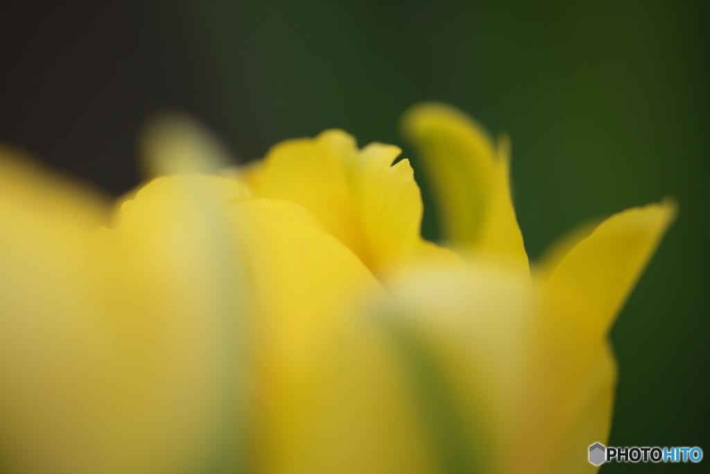 5D3_7724