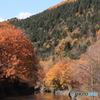 CC0A6295
