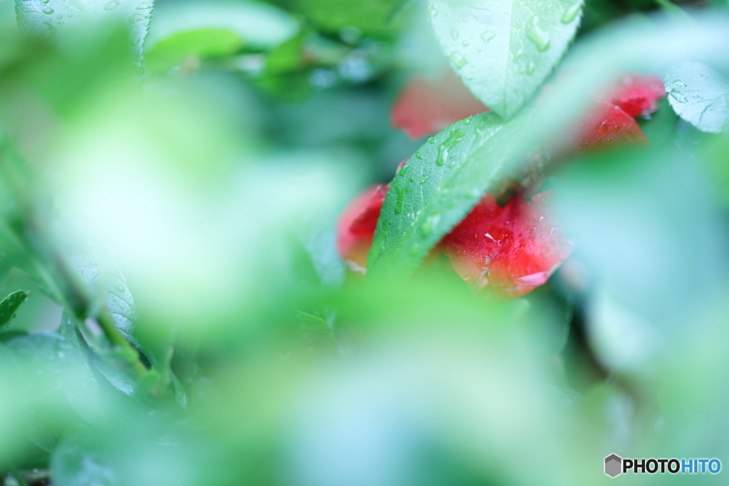5D4_0313