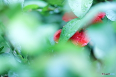 5D4_0313