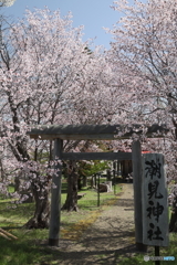 5D4_9969