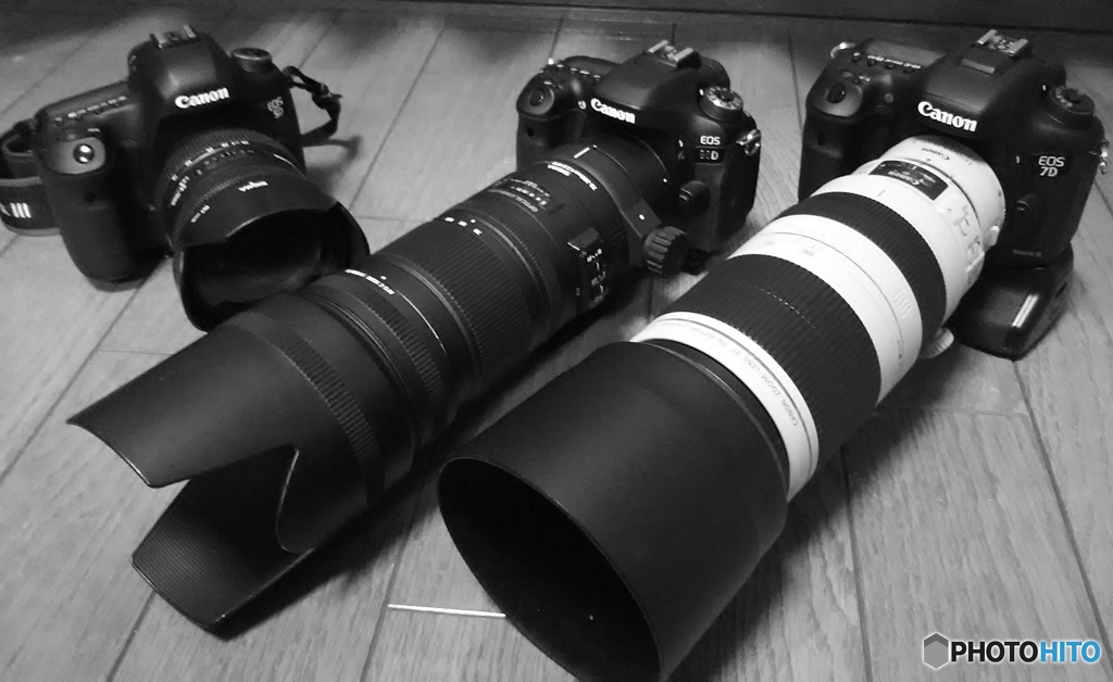 aviary-image-1480490947054