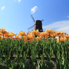 CC0A1639