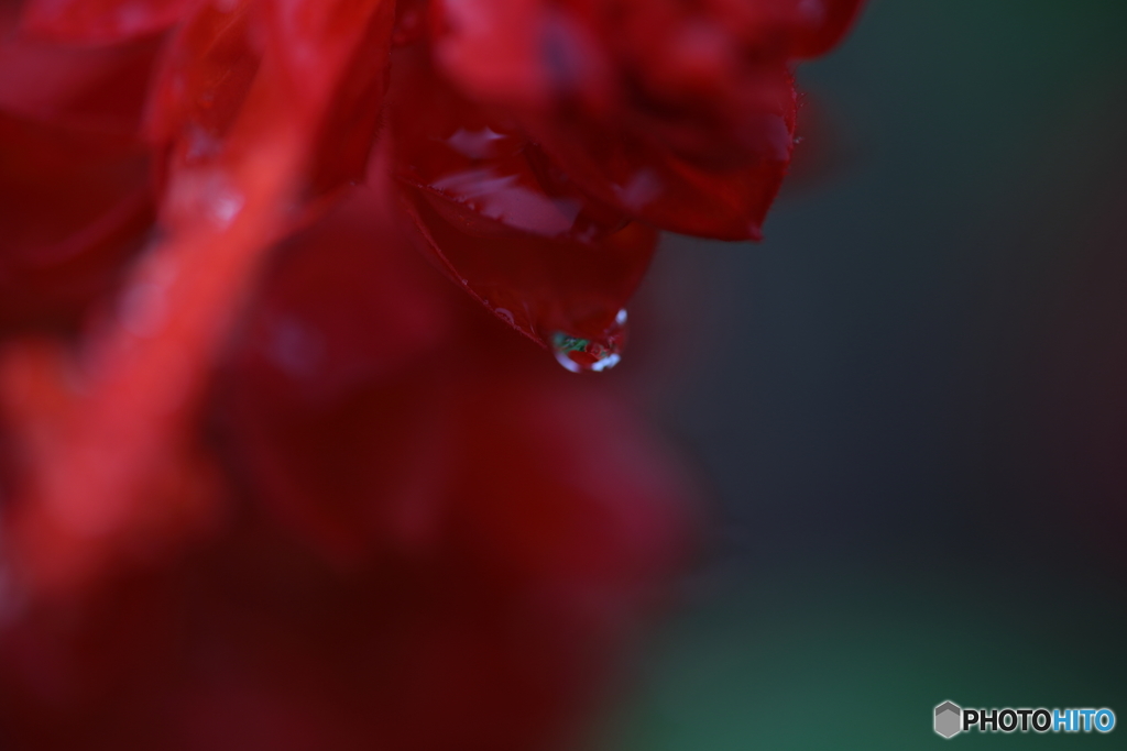 5D4_1119