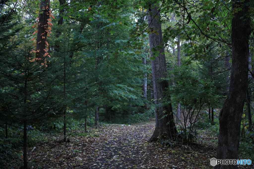 5D4_9783