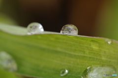 IMG_9807