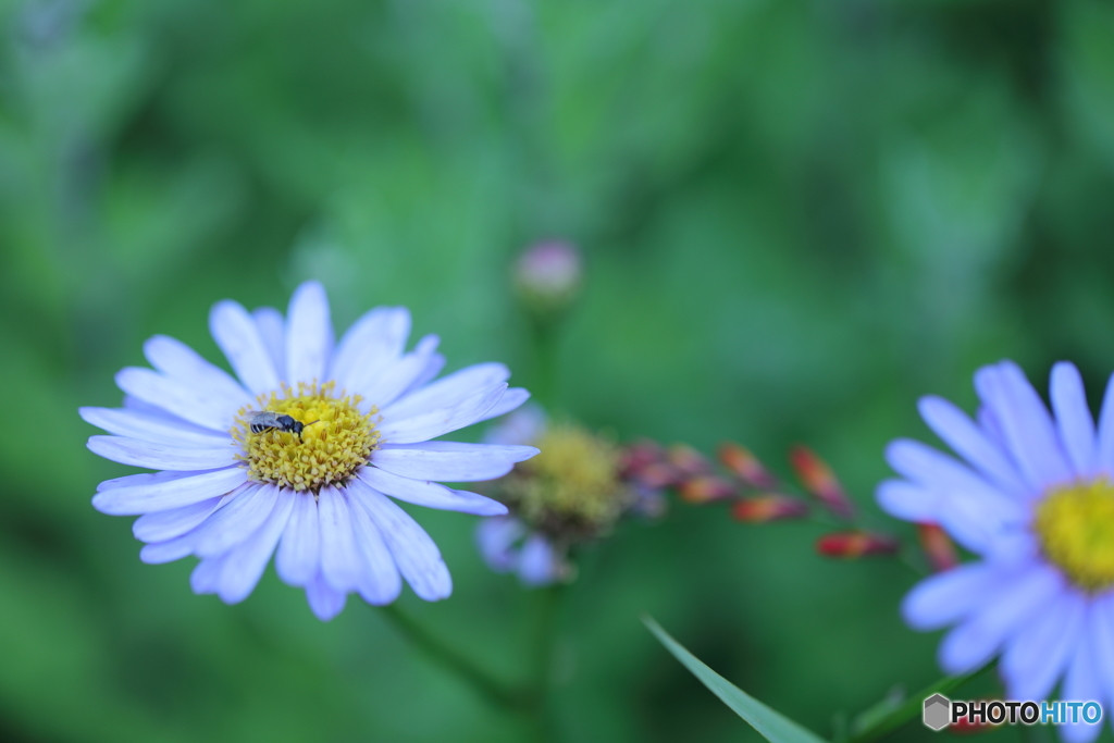 5D4_1264