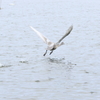 OU5A1227