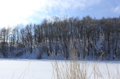 CC0A0950