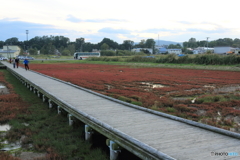 CC0A5987