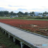 CC0A5987