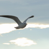 OU5A0563