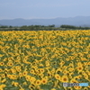 7D2_582011