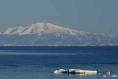 IMG_9359