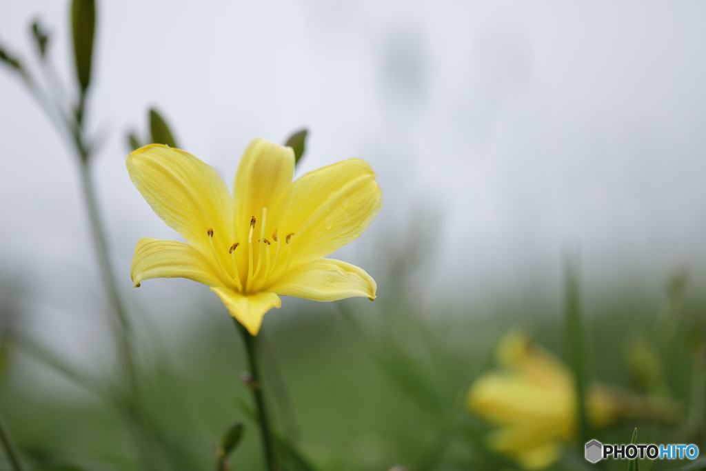 5D4_0572