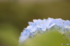 IMG_9245