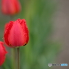 5D3_7618