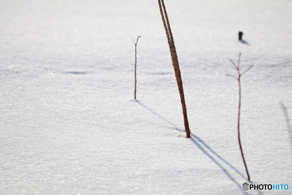 雪景色