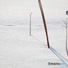 雪景色