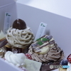 CC0A7037