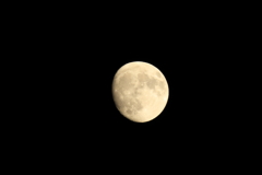 OU5A5797